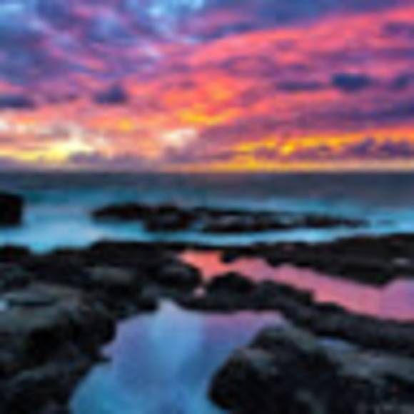 Meet your Posher, Caitlin - Picture 1 of 1